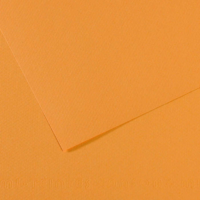 Canson Mi-Teintes Pastellpapier 50 x 65 cm 160 g 25 Blatt