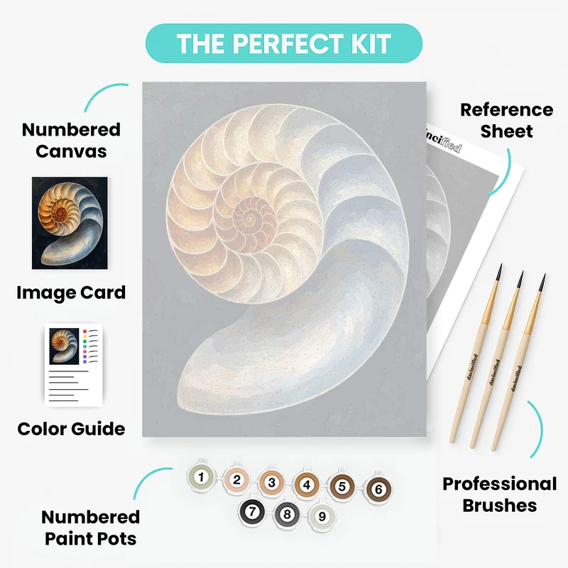 Golden Nautilus Spiral - Paint by Numbers Kit