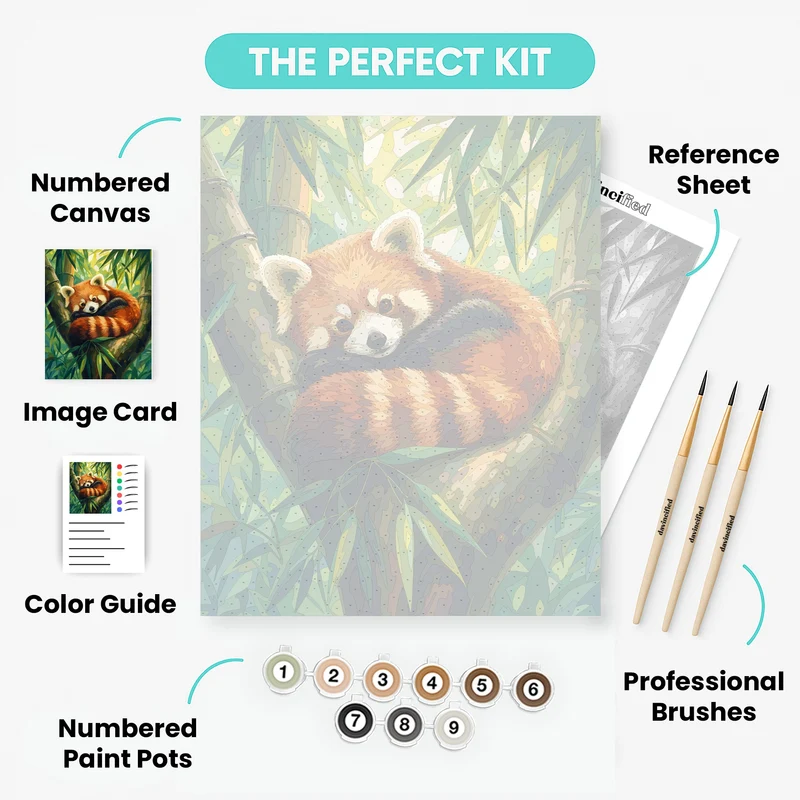 Curled Red Panda - Paint by Numbers Kit