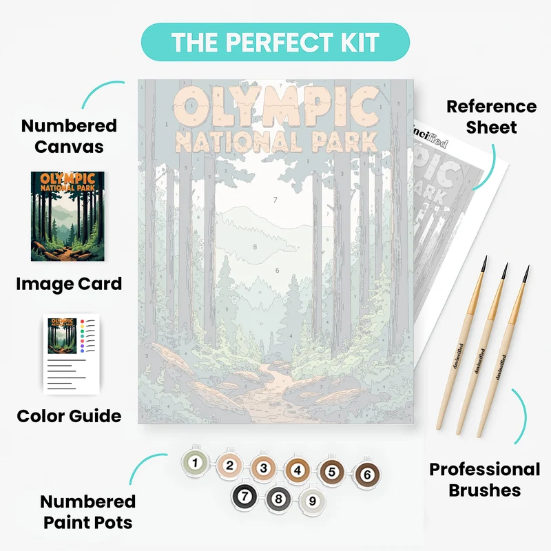 Olympic National Park Ancient Forest Trail - Paint by Numbers Kit