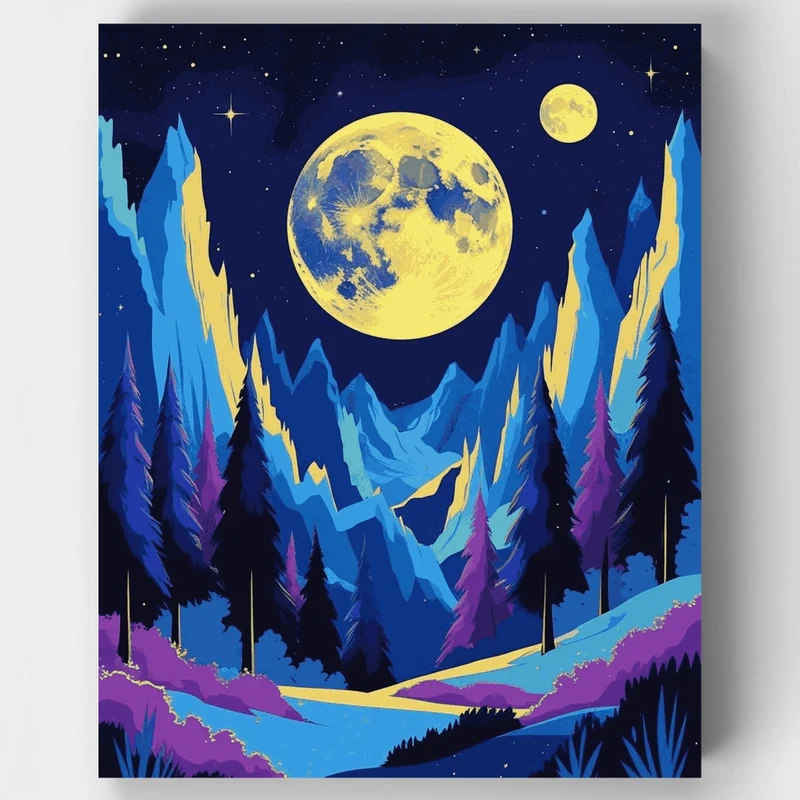 Olympic National Park Moonlit Night - Paint by Numbers Kit