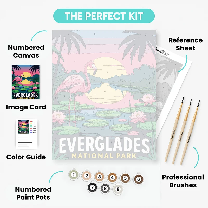Everglades National Park - Paint by Numbers Kit