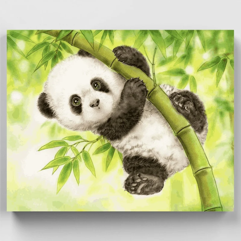 Baby Panda - Paint by Numbers Kit