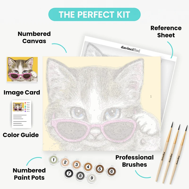 Cool Kitten - Paint by Numbers Kit