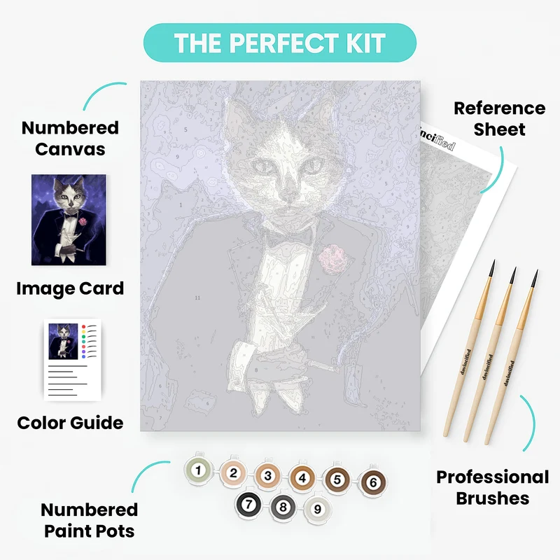Cool Cat - Paint by Numbers Kit