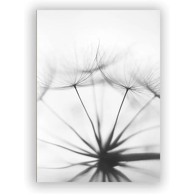 3-teiliges Poster Set Blume Feder Löwenzahn Schwarz Weiß 30x40cm