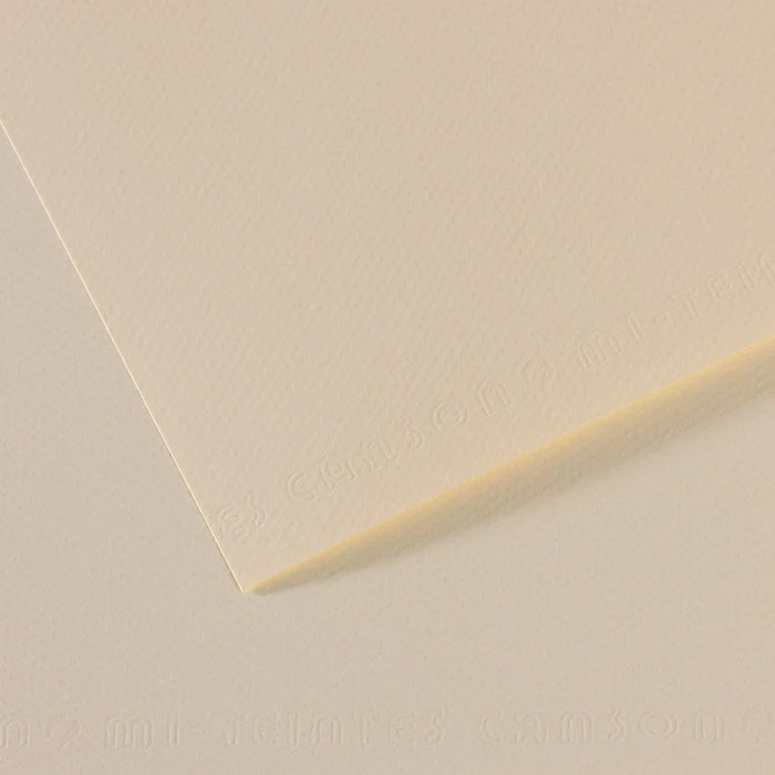 Canson Mi-Teintes papir za pastel 50 x 65 cm 160 g 25 listova
