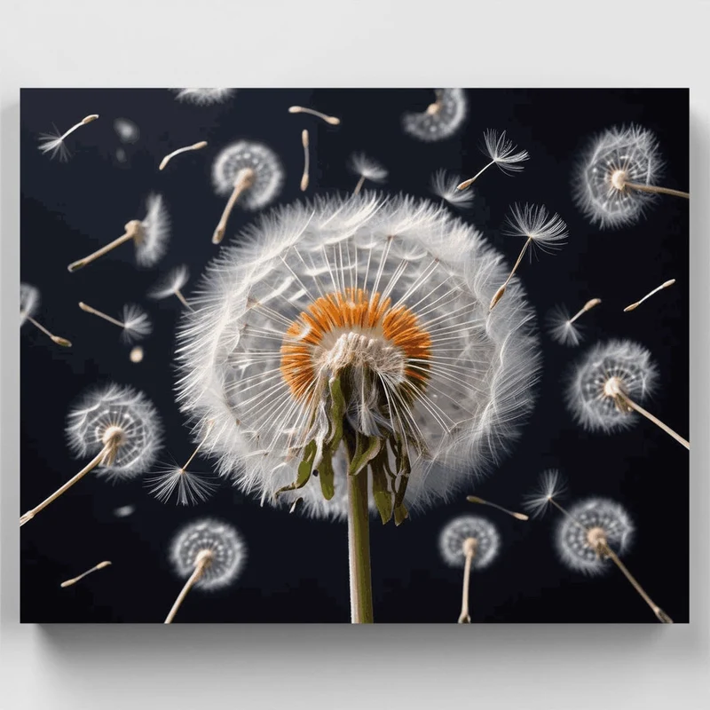 Dandelion Seed Wishes - Paint by Numbers Kit
