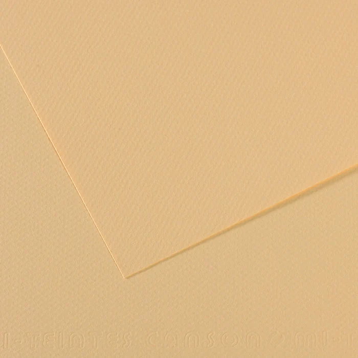 Canson Mi-Teintes papier na pastel 50 x 65 cm 160 g 25H