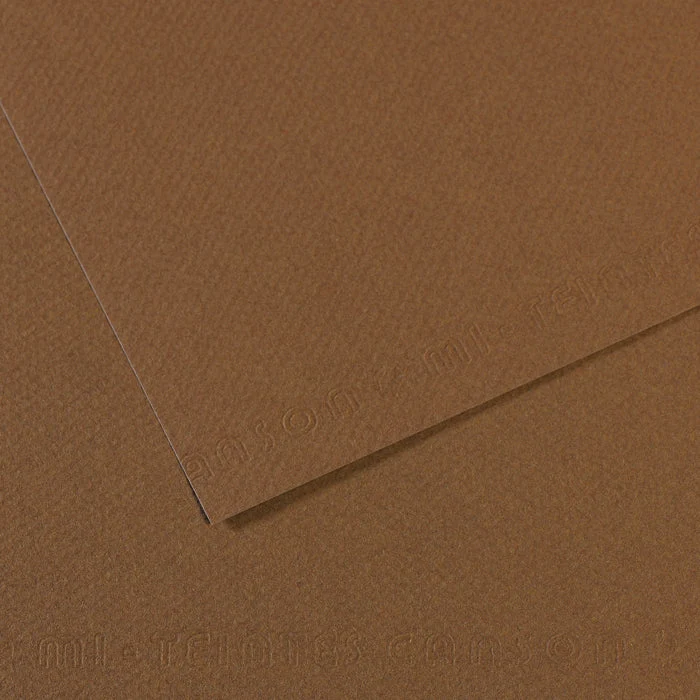 Canson Mi-Teintes papier na pastel 50 x 65 cm 160 g 25H