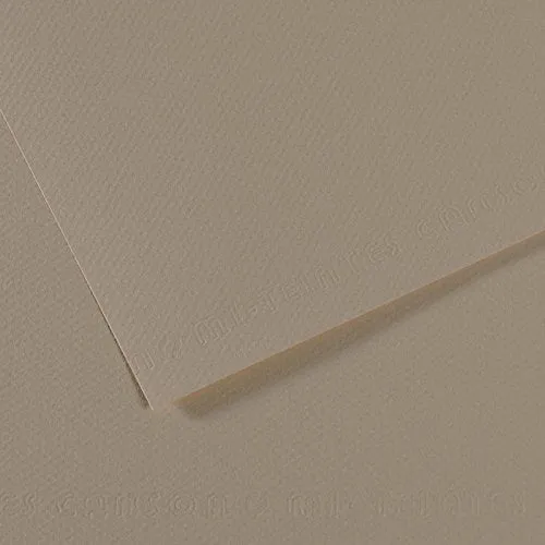 Canson Mi-Teintes papier na pastel 50 x 65 cm 160 g 25H