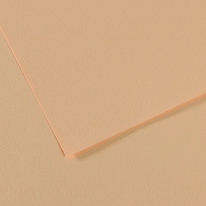 Canson Mi-Teintes papier na pastel 50 x 65 cm 160 g 25H