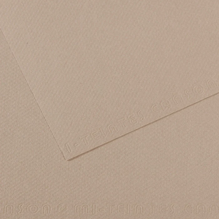 Canson Mi-Teintes papier na pastel 50 x 65 cm 160 g 25H