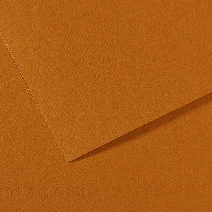 Canson Mi-Teintes papier na pastel 50 x 65 cm 160 g 25H