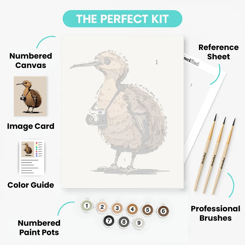 Kiwi Photographer - Paint by Numbers Kit