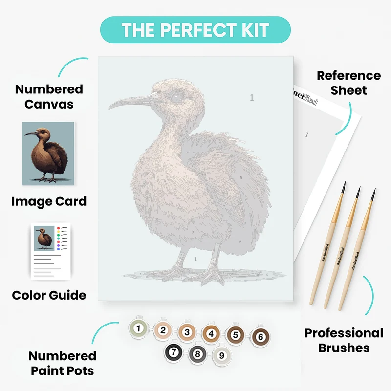 Kiwi Bird Illustration - Paint by Numbers Kit
