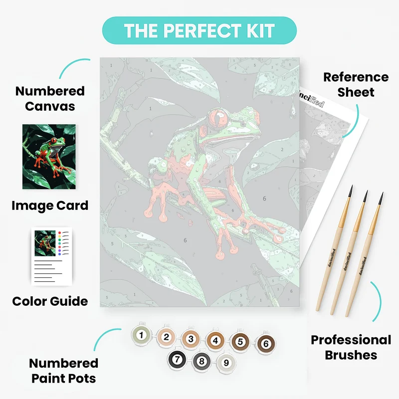 Red-Eyed Tree Frog in the Rain - Paint by Numbers Kit