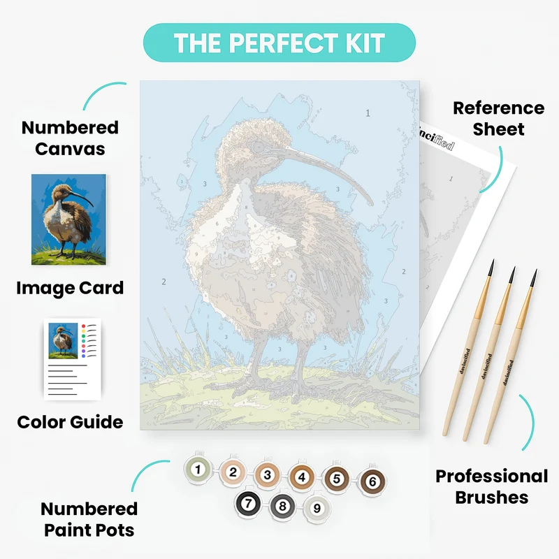 Fluffy Kiwi Bird on Green Grass - Paint by Numbers Kit