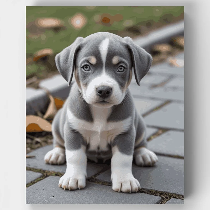 Adorable Pitbull Puppy - Paint by Numbers Kit