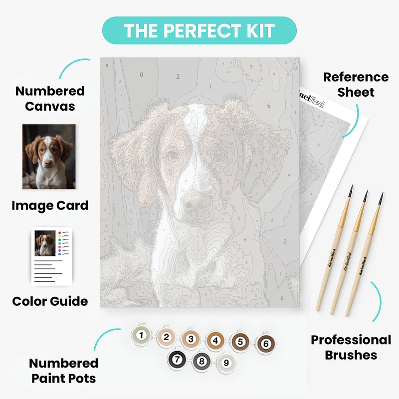 Sweet Brown and White Spaniel Puppy - Paint by Numbers Kit