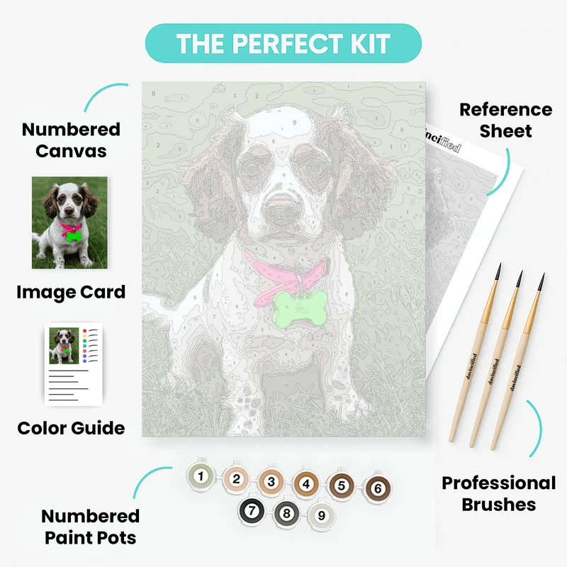 Adorable Spaniel with Pink Collar - Paint by Numbers Kit