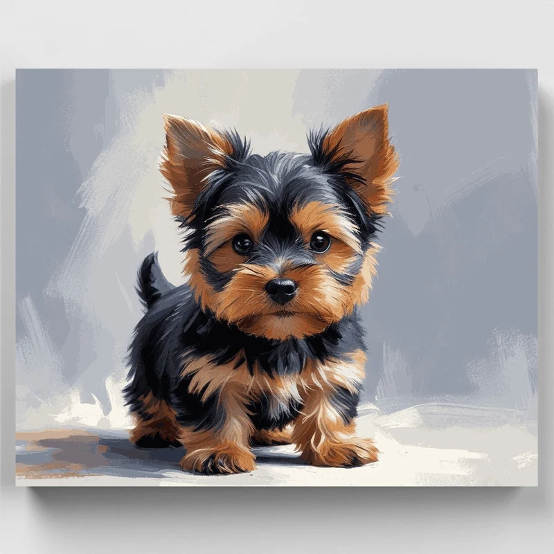 Adorable Yorkie Puppy with Silky Coat - Paint by Numbers Kit