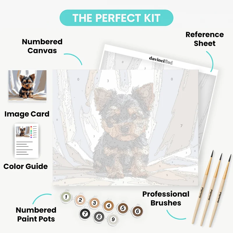 Yorkshire Terrier Puppy - Paint by Numbers Kit