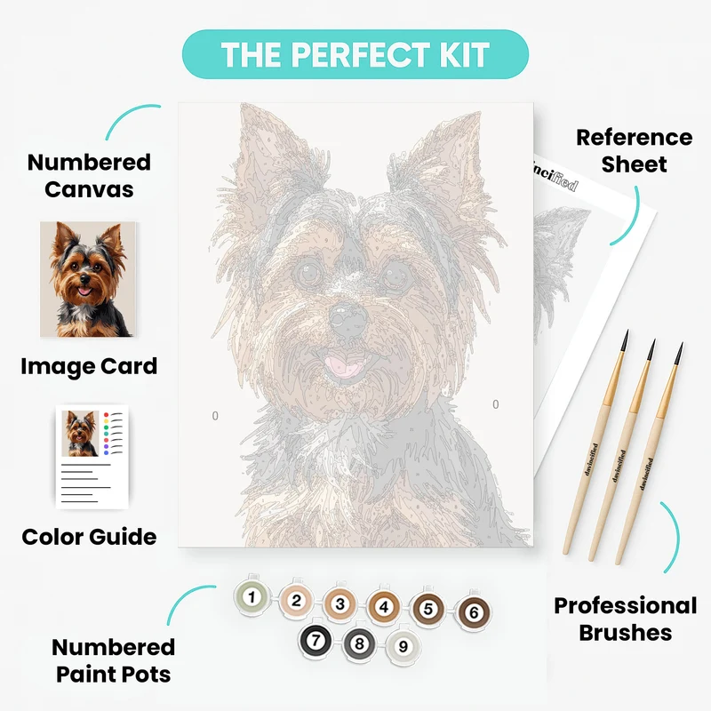 Adorable Yorkshire Terrier Portrait - Paint by Numbers Kit