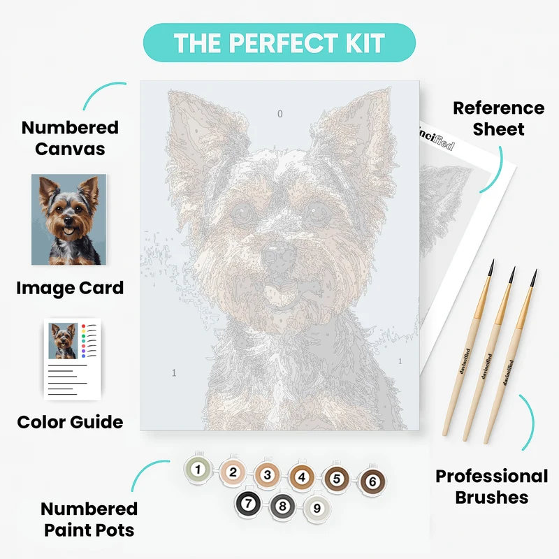 Adorable Yorkshire Terrier with Happy Expression - Paint by Numbers Kit
