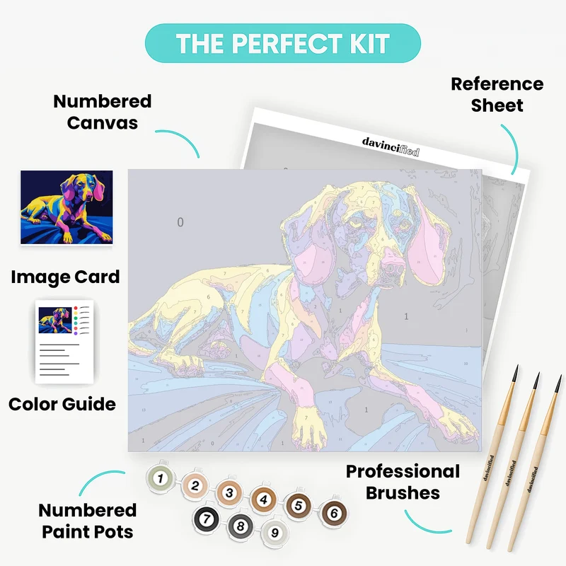 Colorful Dachshund Pop Art - Paint by Numbers Kit