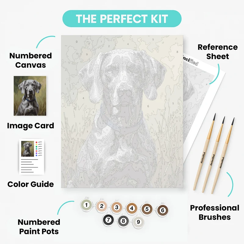 Weimaraner in Blue Collar Outdoor Portrait - Paint by Numbers Kit