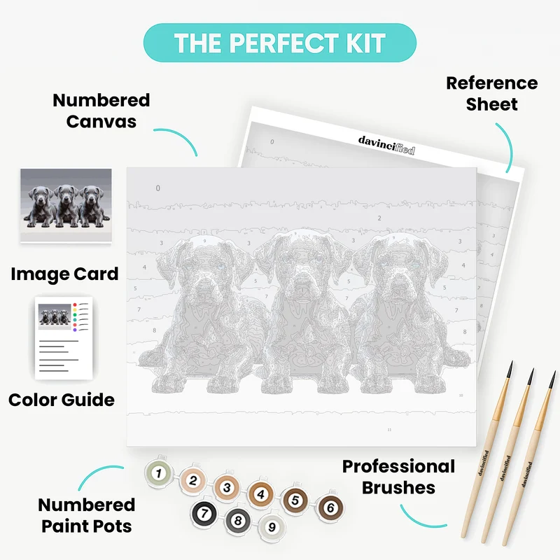 Three Gray Puppies - Paint by Numbers Kit