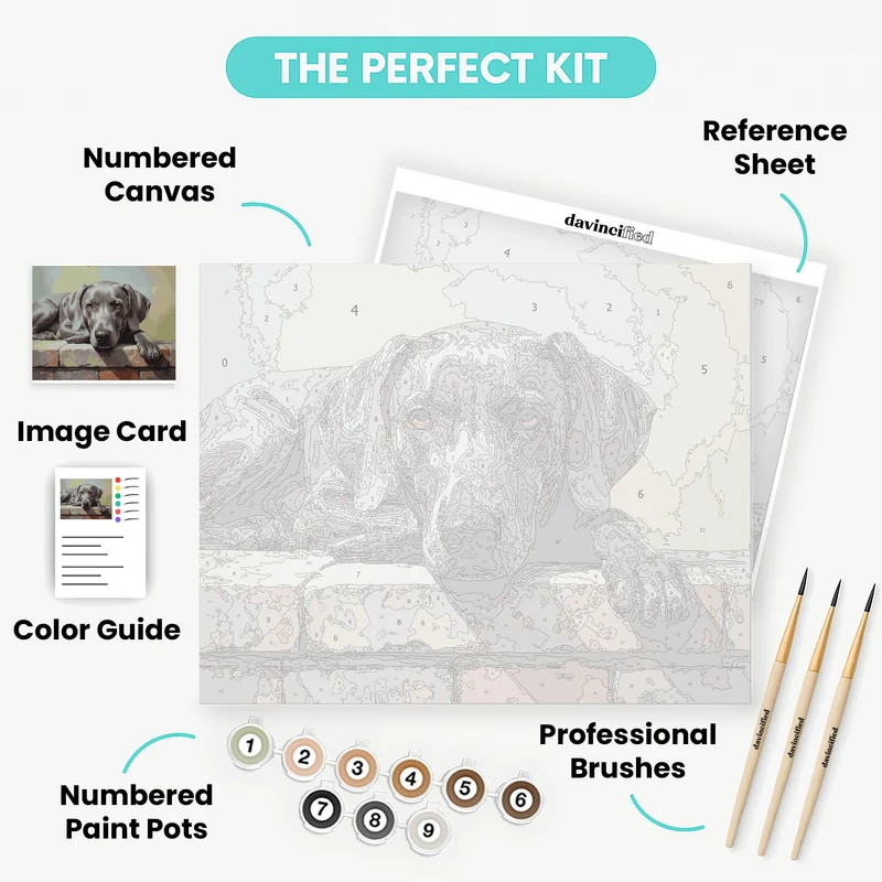 Weimaraner Dog Portrait - Paint by Numbers Kit