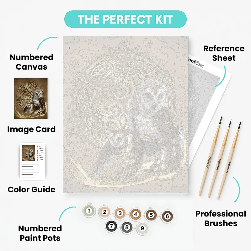 Celtic Owl - Paint by Numbers Kit