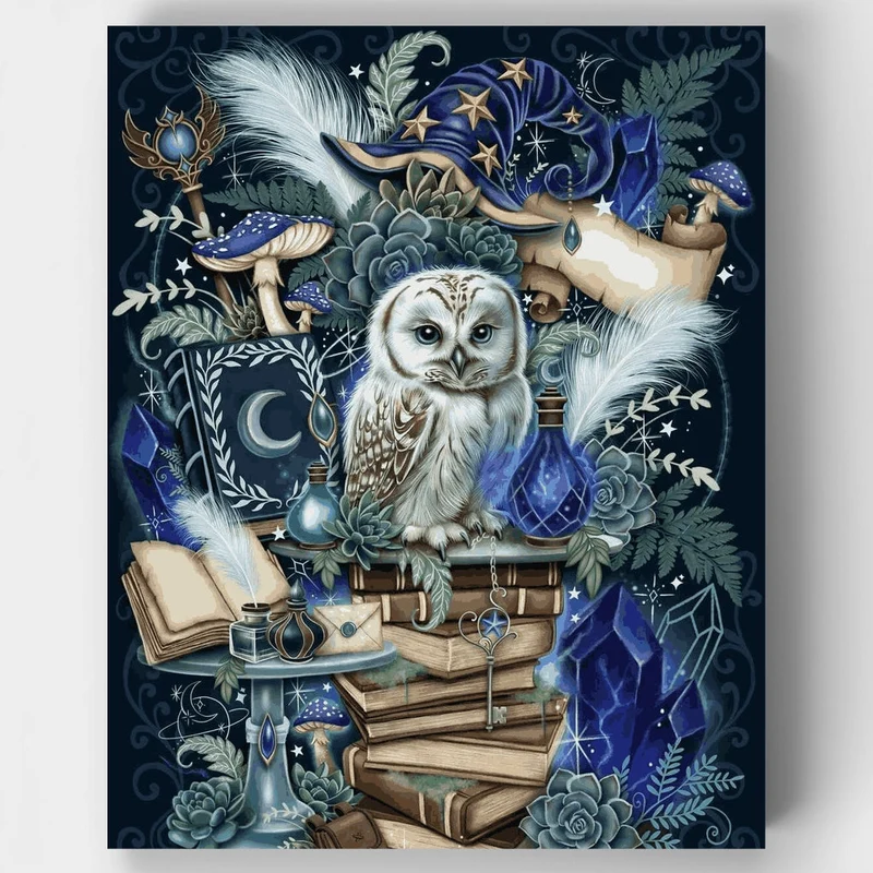Wizards Companion - Paint by Numbers Kit
