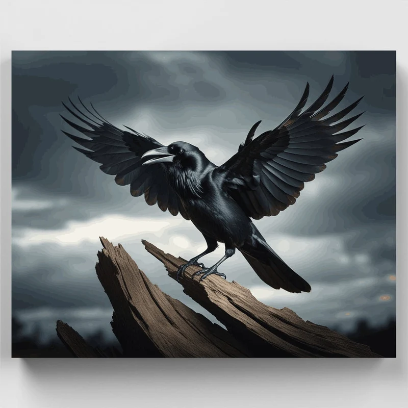 Majestic Black Crow with Outstretched Wings - Paint by Numbers Kit