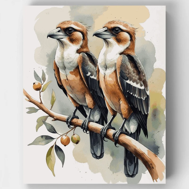 Kookaburras - Paint by Numbers Kit