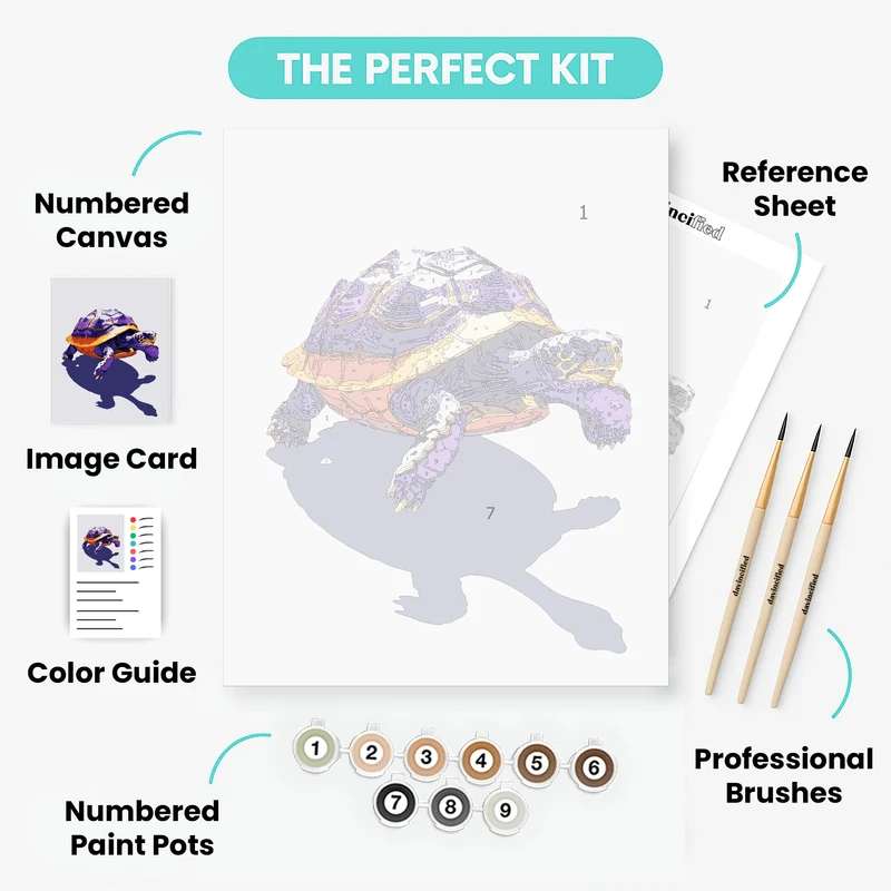 Vibrant Purple and Orange Tortoise - Paint by Numbers Kit