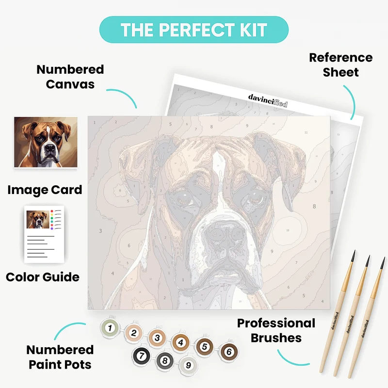Expressive Boxer Dog with Soulful Eyes - Paint by Numbers Kit