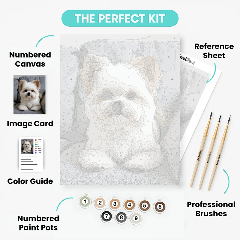 Adorable Shih Tzu on Gray Couch - Paint by Numbers Kit