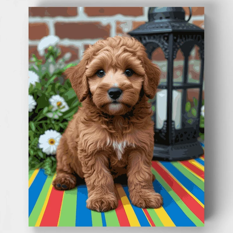Fluffy Labradoodle Puppy with Lantern - Paint by Numbers Kit