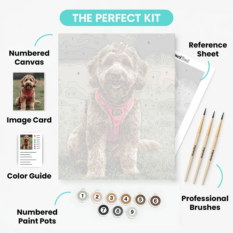 Adorable Labradoodle in Red Harness - Paint by Numbers Kit
