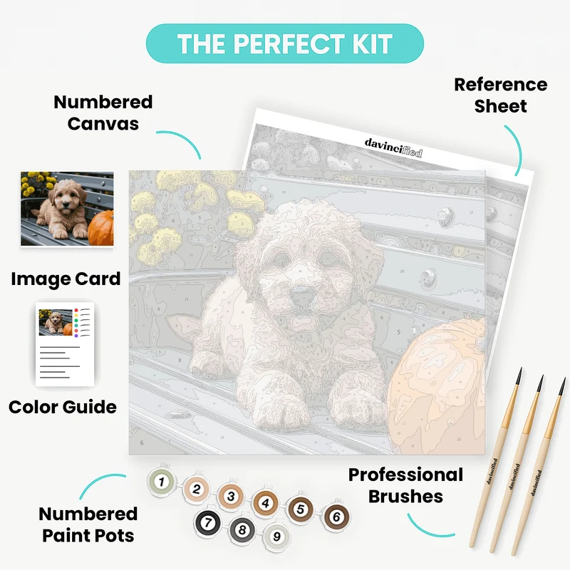 Adorable Labradoodle Puppy on Bench - Paint by Numbers Kit