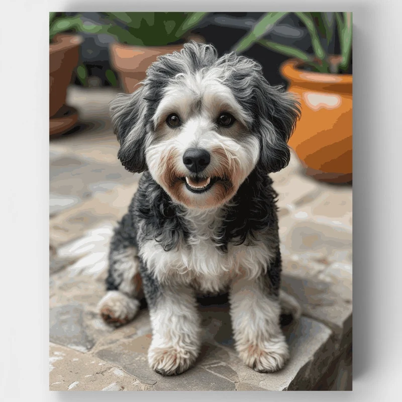Smiling Labradoodle Portrait - Paint by Numbers Kit