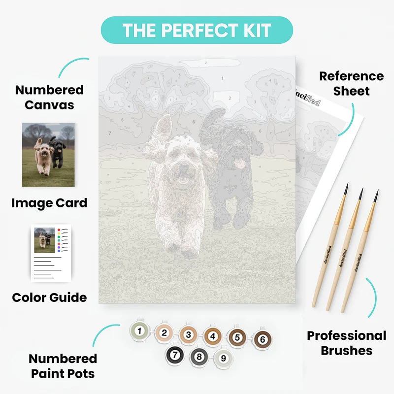 Two Playful Labradoodles Running - Paint by Numbers Kit