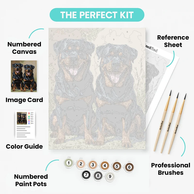 Two Rottweilers - Paint by Numbers Kit