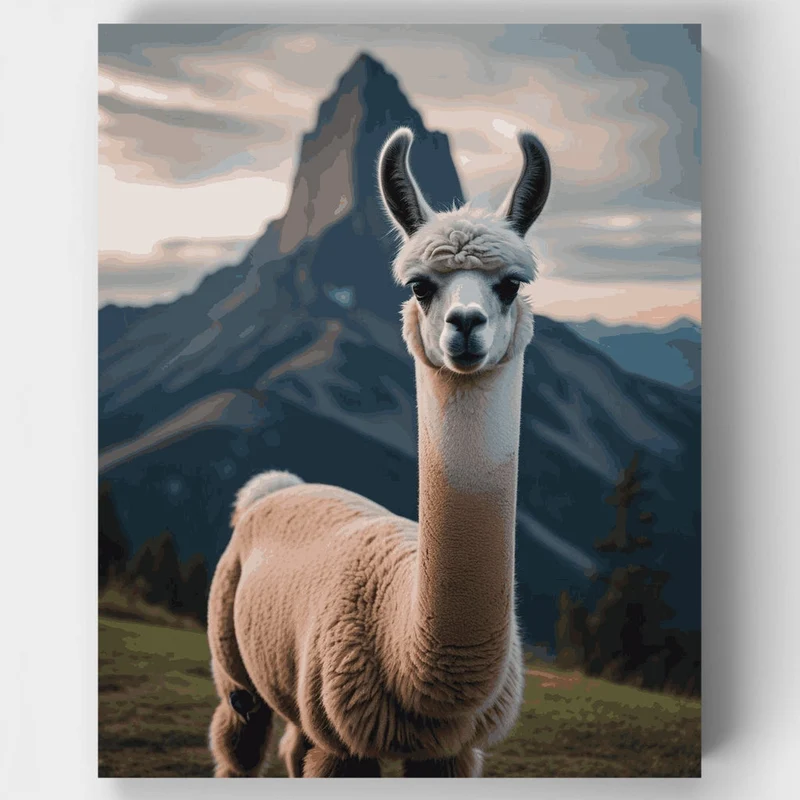 Majestic Llama in the Andes - Paint by Numbers Kit