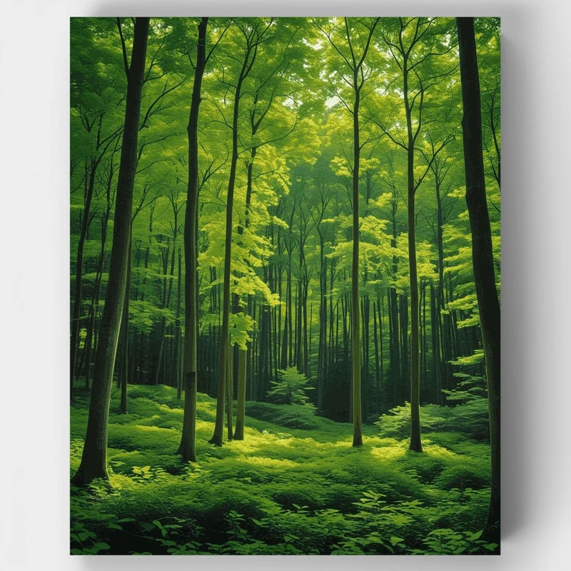 Enchanted Forest Canopy - Paint by Numbers Kit