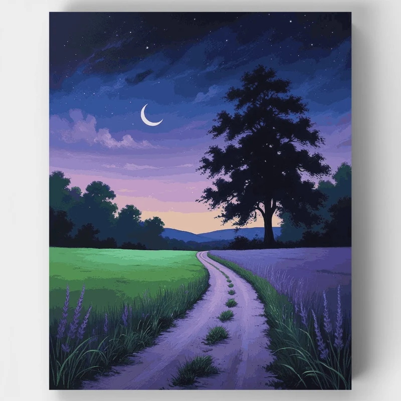 Moonlit Country Path - Paint by Numbers Kit