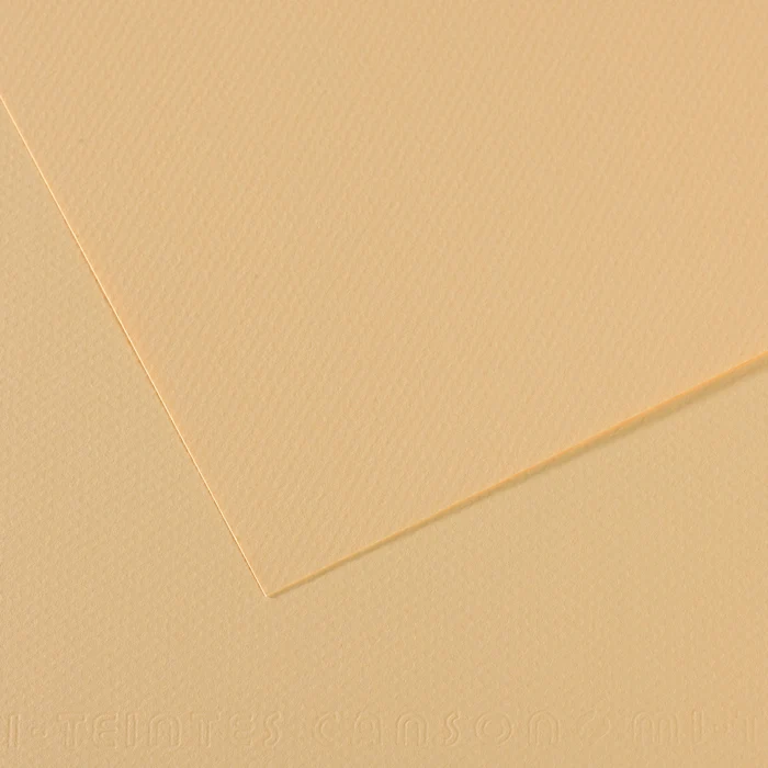 Canson Mi-Teintes Pastellpapier A4 160 g/m² 25 Blatt